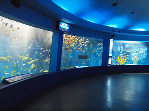 20100126_214shuusei.jpg