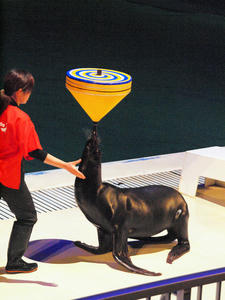20100126_353shuusei.jpg