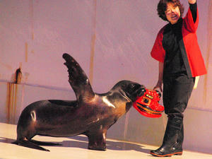 20100126_349shuusei.jpg
