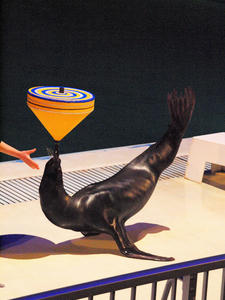 20100126_355shuusei.jpg