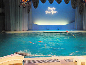 20100126_358shuusei.jpg