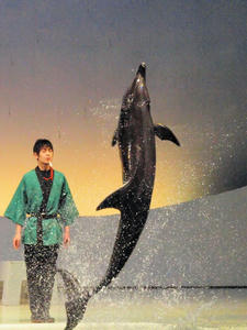 20100126_370shuusei.jpg
