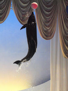20100126_373shuusei.jpg