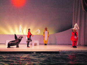 20100126_386shuusei.jpg