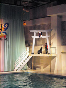 20100126_394shuusei.jpg