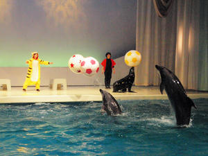 20100126_414shuusei.jpg