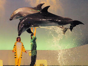20100126_418shuusei.jpg