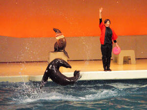 20100126_433shuusei.jpg