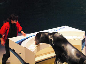 20100126_447shuusei.jpg