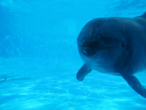 20100126_330shuusei.jpg