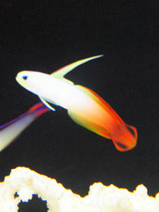 20100126_257shuusei.jpg