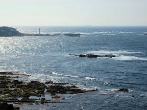 20100126_505shuusei.jpg