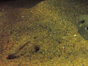 20100126_530shuusei.jpg