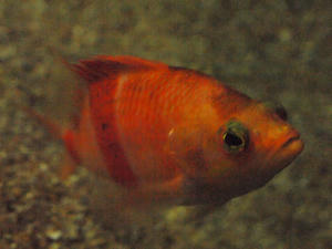 20100126_532shuusei.jpg