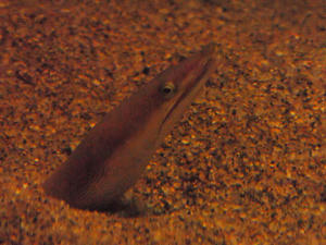 20100126_539shuusei.jpg