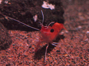 20100126_542shuusei.jpg