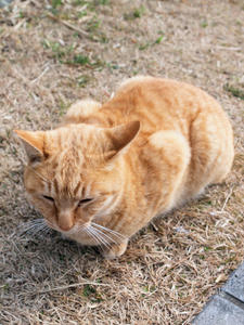 20100126_582shuusei.jpg