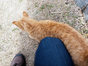 20100126_594shuusei.jpg