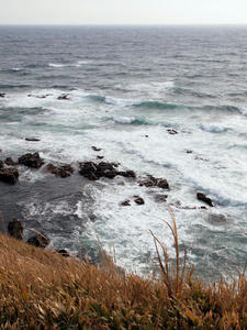 20100126_607shuusei.jpg