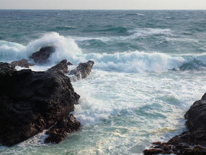 20100126_620shuusei.jpg