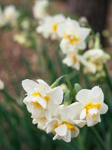 20100126_655shuusei.jpg
