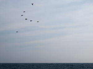 20100126_624shuusei.jpg