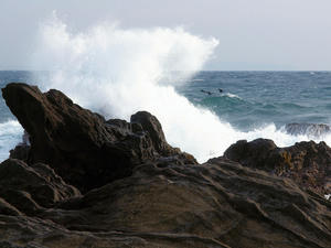 20100126_636shuusei.jpg