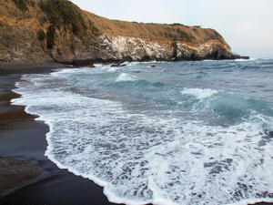 20100126_684shuusei.jpg
