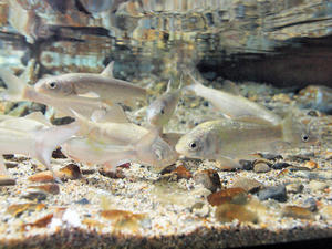 20100126_526shuusei.jpg