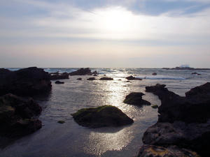 20100126_746shuusei.jpg