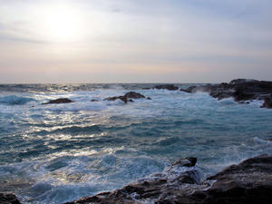 20100126_784shuusei.jpg