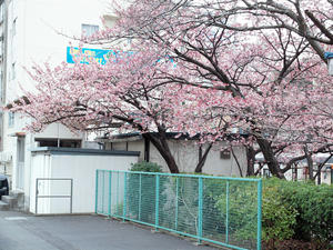 20100211_33shuusei.jpg