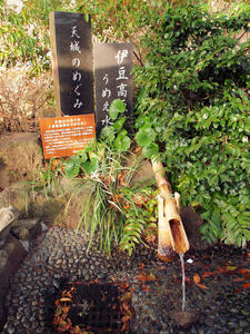 20100211_49shuusei.jpg