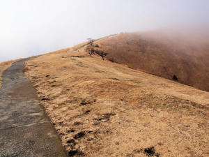 20100211_80shuusei.jpg