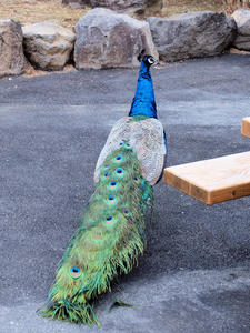 20100211_115shuusei.jpg
