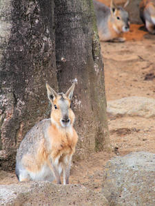 20100211_157shuusei.jpg