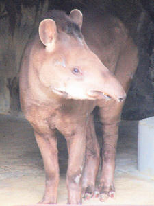 20100211_175shuusei.jpg