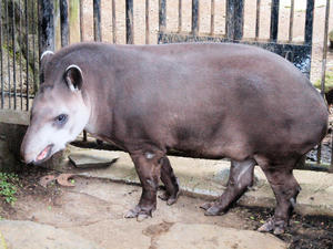 20100211_179shuusei.jpg