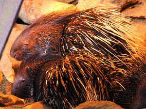 20100211_773shuusei.jpg