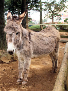 20100211_745shuusei.jpg