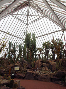 20100211_554shuusei.jpg