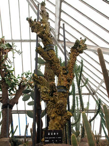 20100211_557shuusei.jpg