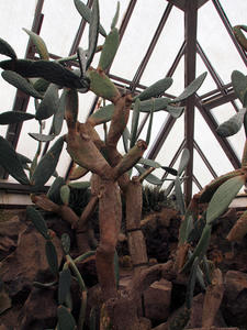 20100211_563shuusei.jpg
