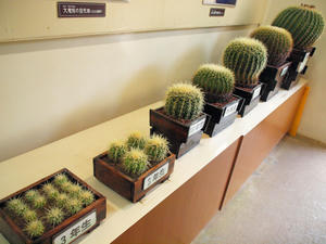20100211_639shuusei.jpg