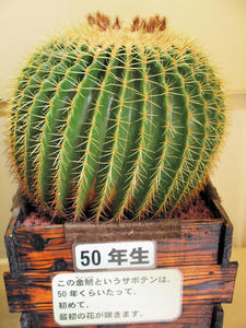 20100211_641shuusei.jpg