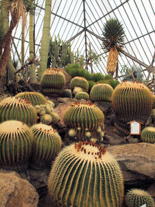 20100211_644shuusei.jpg