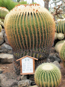 20100211_1093shuusei.jpg