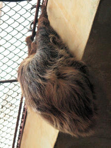 20100211_617shuusei.jpg