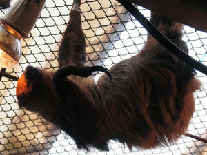 20100211_1090shuusei.jpg
