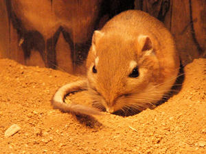 20100211_1082shuusei.jpg